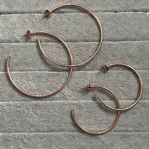 J. Crew Rose Gold Thin Hoop Earrings (set-of-two)